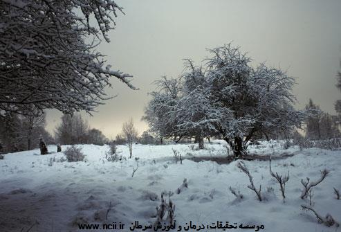 چه عواملي باعث بروز بيماري ام اس مي‌شود؟