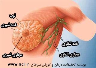 موسسه تحقیقات، درمان و آموزش سرطان